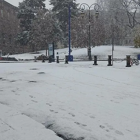 Casa Dei Gatti Homestay *