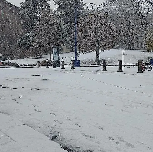 Casa Dei Gatti Séjour chez l'habitant *