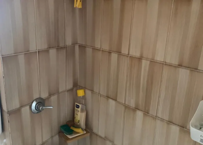 Casa Dei Gatti Séjour chez l'habitant Turin